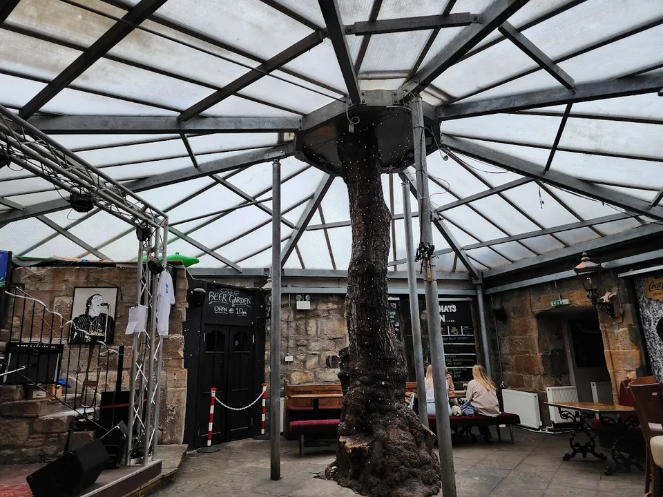The Clutha — photo 4