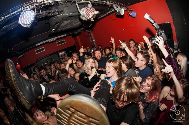 The Sunflower Lounge — photo 1