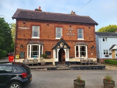 The Fox and Duck