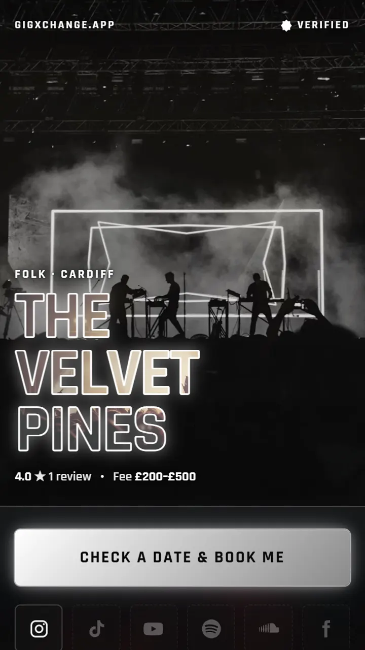 A real Instagram Microsite in the Onyx look - The Velvet Pines, a folk duo from Cardiff, with their booking button and social links