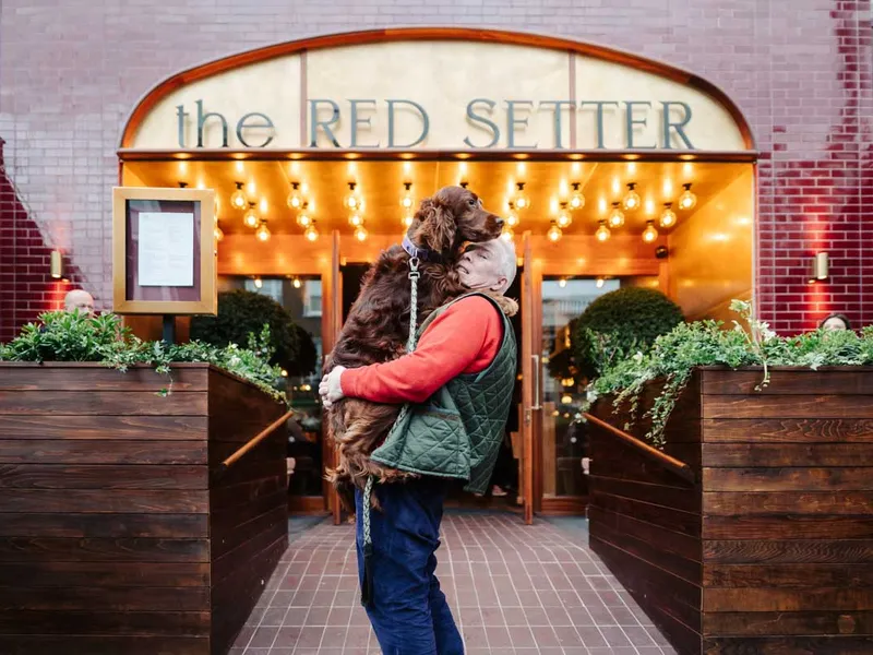 The Red Dyserth photo