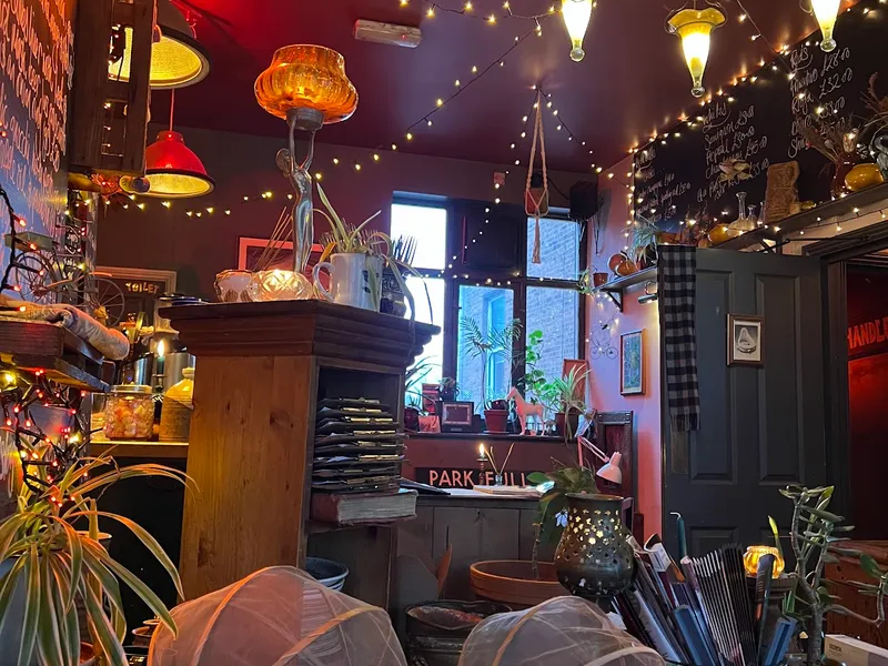 The Bicycle Shop photo
