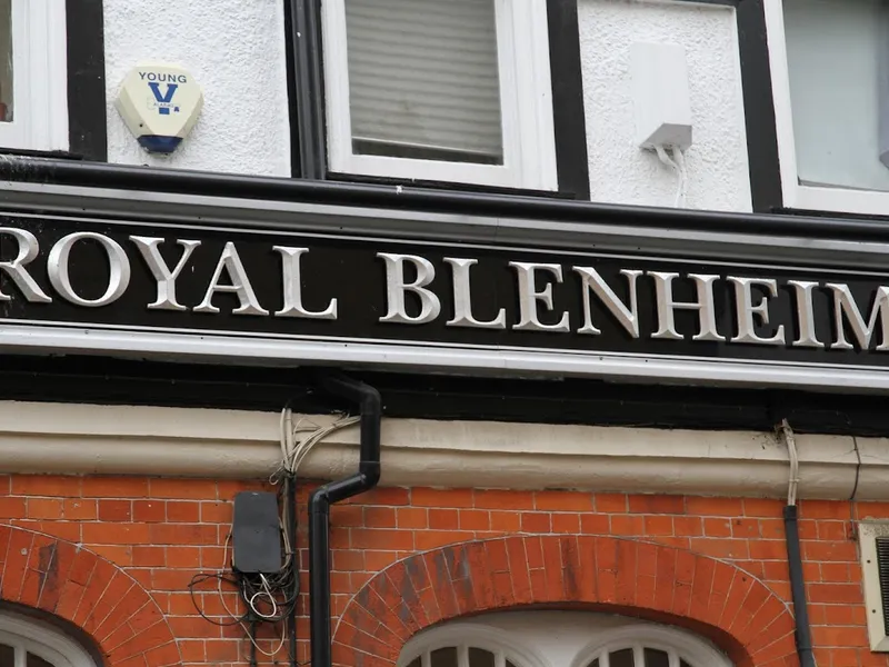 The Royal Blenheim photo