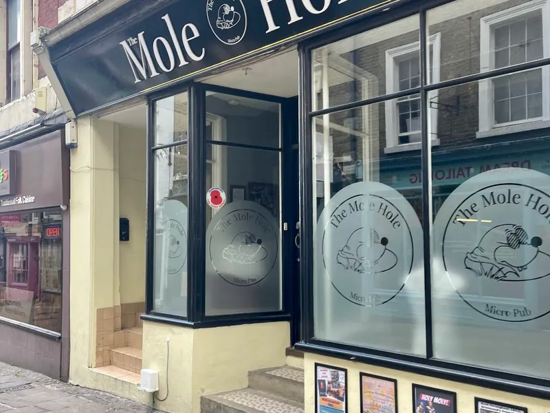 The Mole Hole Micro Pub photo