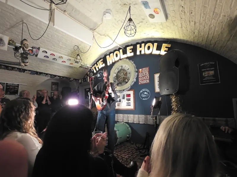 The Mole Hole Micro Pub photo